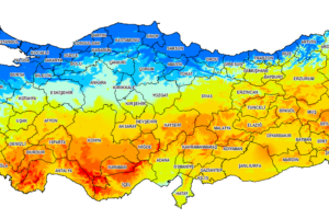 Türkiye Ölüm Nedenleri