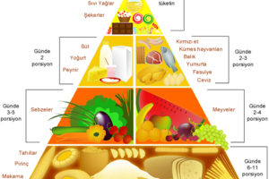 Besin Çeşitleri Nelerdir?